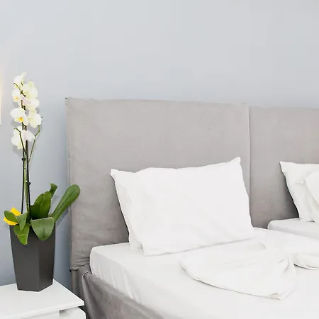 Szálloda Klelia By Zante Plaza 4*