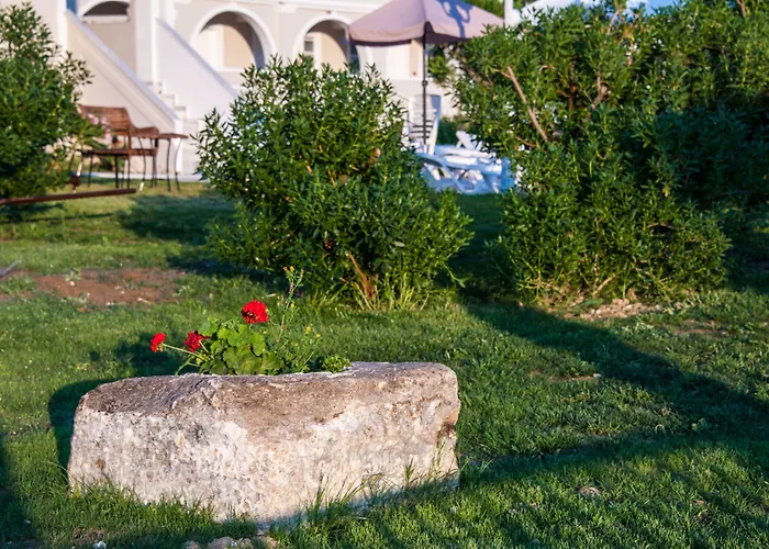 Klelia By Zante Plaza Hotel 4*